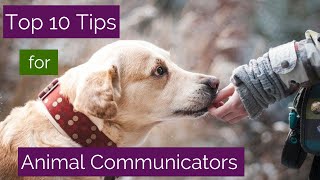 My Top Ten Animal Communication Tips  Learn How to Talk to Your Pet or Any Animal!