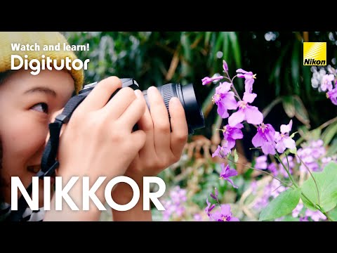 Taking attractive travel