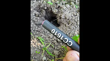 Надоели кроты и слепыши