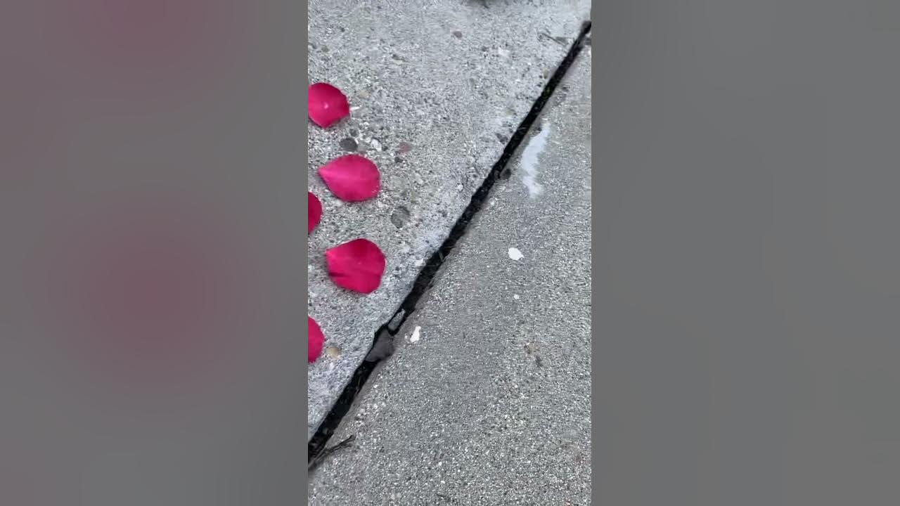 How to summon a fairy YouTube