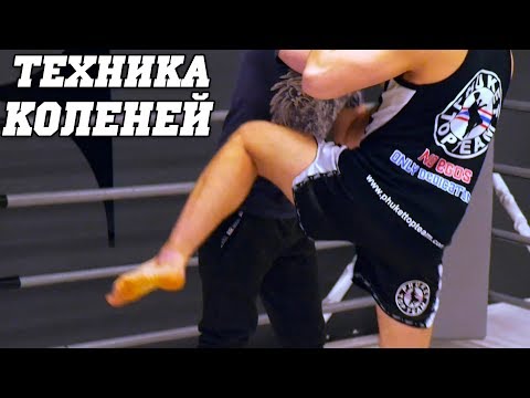 Видео: Удары коленями в тайском боксе ≡ Разбор техники