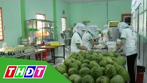Mãng cầu xiêm Đồng Tháp mở rộng sang thị trường Brunei | THDT