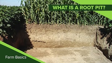 Farm Basics #1112 What is a Root Pit? (Air Date 7-28-19)