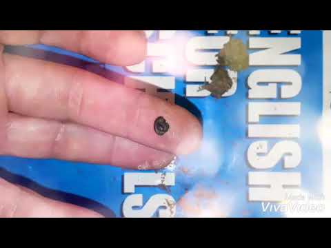 კანაფის ზეთი