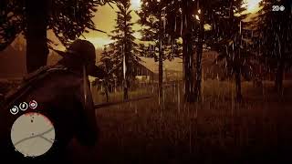 rdr2 - Weapons Expert 9