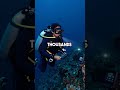 Ocean Mystery: Unknown Sound Getting Louder for 30+ Years