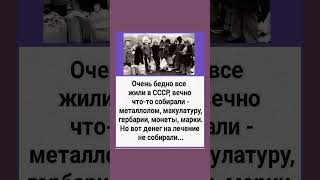 Мукулатуру Собирали Дети И Взрослые, Хотели Сохранить Лес Потомкам. Вот Же Было Время!