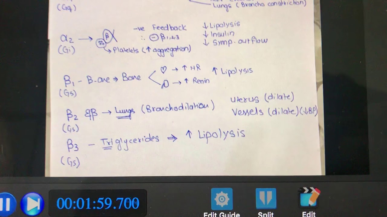 Sympathetic Receptors Mnemonic - YouTube