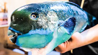 Okinawa blue fish Sashimi &amp; Stewed tomato − Japanese Street Food