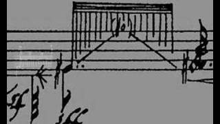 Oer (Solo Track)_Maurizio Pisati