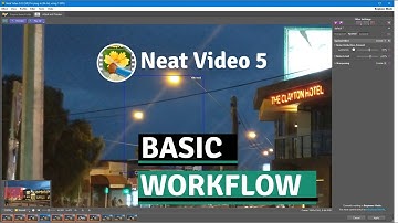Basic Workflow | Neat Video 5