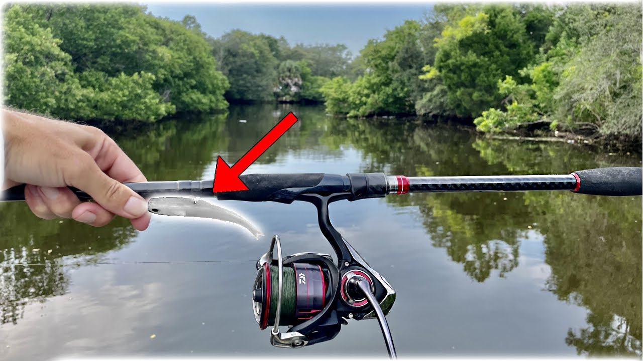 Canal fishing with NLBN lures!  Land based snook fishing 