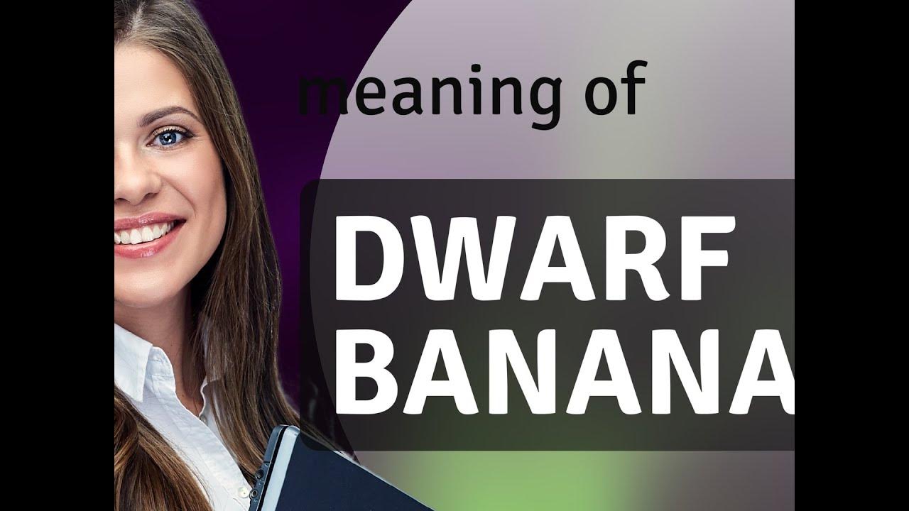 Dwarf banana — what is DWARF BANANA definition YouTube