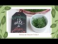 Brotos de Chia - Ricos em Vitaminas - Sem Terra - Colheita em 7 dias😃