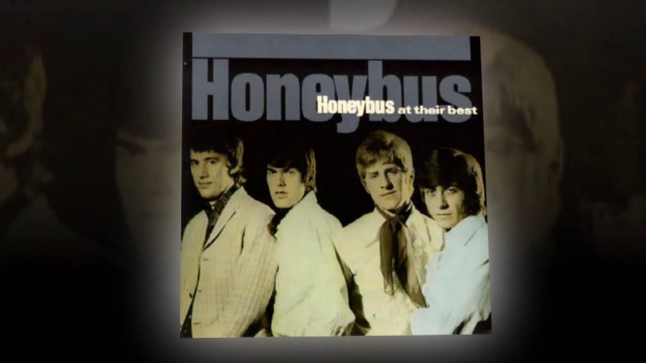The Honeybus - Ain
