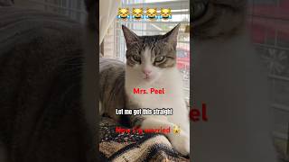 Let Me Get This Straight