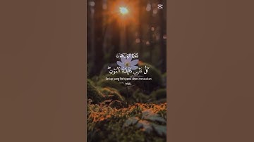"تلاوة نادرة من القرآن الكريم بصوت مؤثر يريح القلب ويشرح الصدر ❤️" #القرآن_الكريم #سورة_العنكبوت