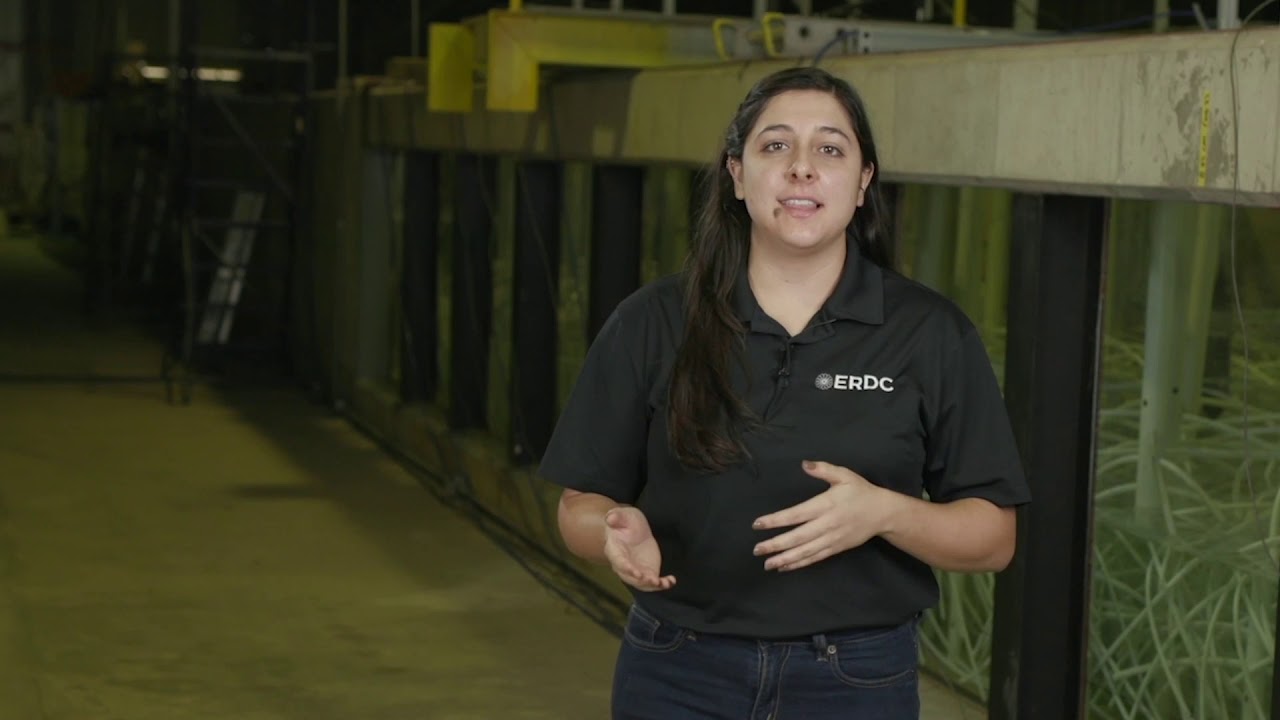 Quantifying Storm Protection Benefits of Coastal Mangroves