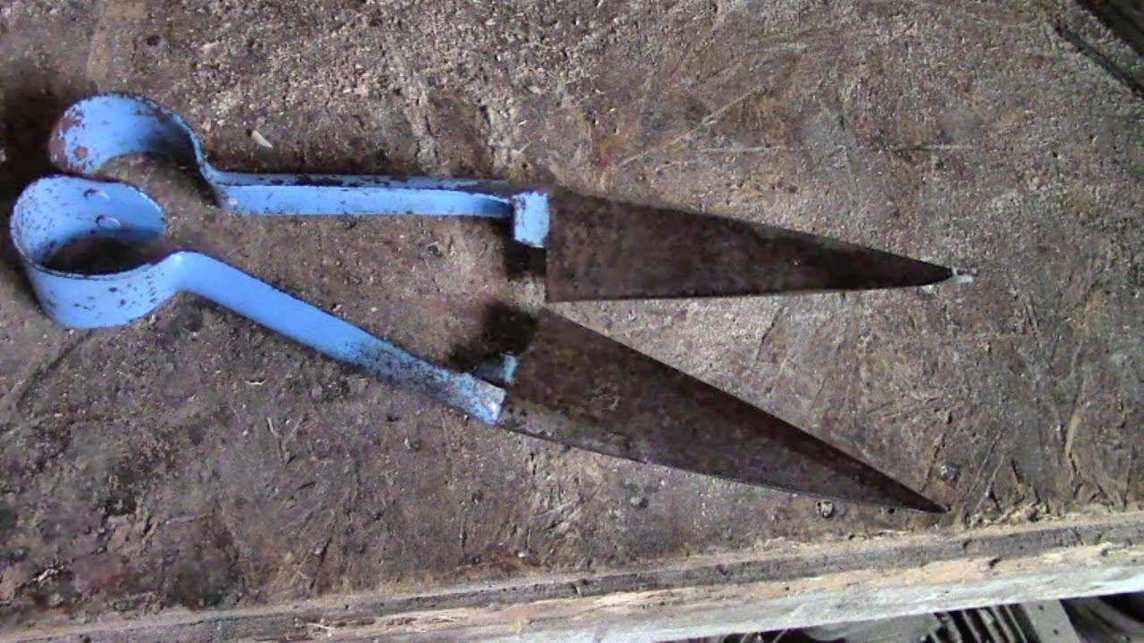 How To Sharpen Sheep Shears (And The Trick To Using Them Successfully) 