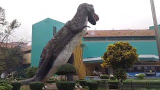 বন্ধুরা আসুন আমরা জাতীয় বিজ্ঞান ও প্রযুক্তি জাদুঘর ঘুরে দেখি !