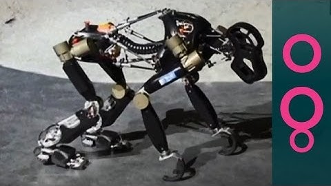 Robotic Ape: Next Monkey In Space?