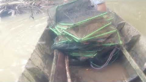 đặt 12 cửa ngục kiếm ăn mùa dịch