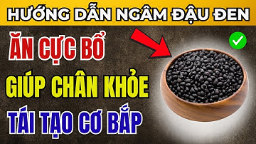 Bí Quyết Ngâm Đậu Đen Chuẩn, Giữ Dinh Dưỡng – Giúp Tim Mạch Ổn Định, Tiêu Hóa Dễ Dàng, Chống Lão Hóa