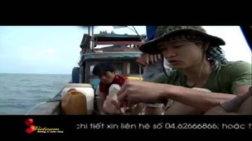 Phượt mũi Cà Mau. Tập 2: Đánh bắt cá trên biển - S Việt Nam