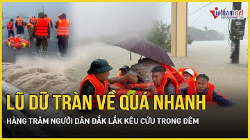 “Quặn lòng” lũ dữ tràn về quá nhanh, hàng trăm người dân Đắk Lắk kêu cứu trong đêm, khốn khổ vô cùng