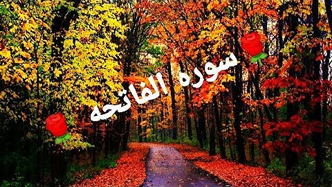 سوره الفاتحه بصوت القارئ طارق محمد 🌹