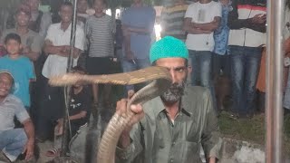 Download Lagu Jual Batu Ular Tes Sama King Kobra Pasti Takut Ular nya MP3