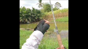lưỡi câu cá lóc hột mít #caucaloc #fishing #vinhrom