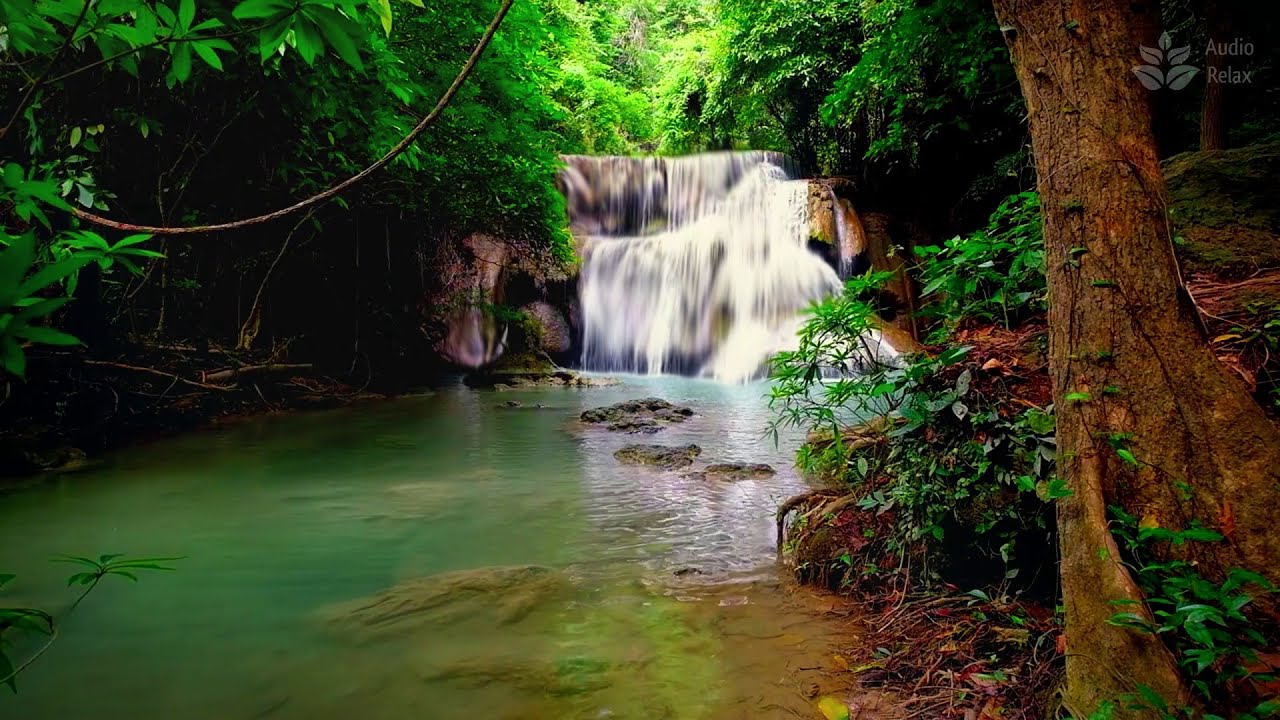 Звуки природы для сна и медитации: красивый лесной водопад (10 часов)