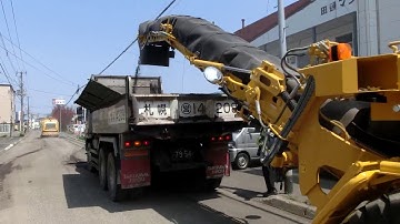 Vietduc Machines : Máy cào bóc Sakai EF552