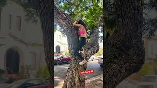she likes to climb trees! 😄