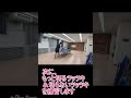 切る&切らないツッツキの練習 #tabletennis #卓球 #カットマン