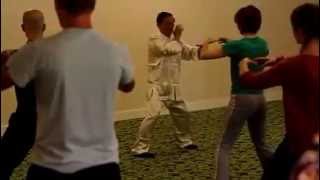 Fundamentals Of Tai Chi Chuan 1