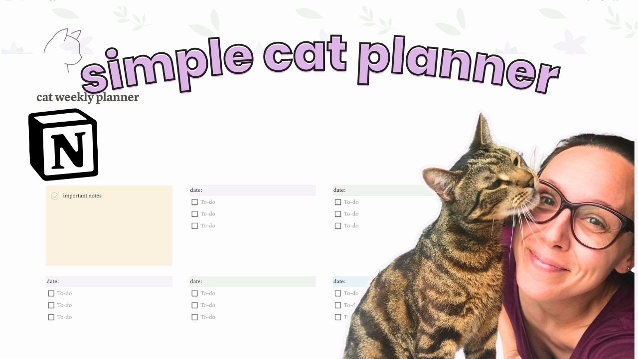 Best way to stay organized with your cat's needs 