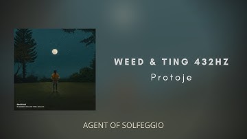 WEED & TING - {A4= 432Hz} - Protoje [Official Audio]