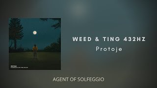 WEED &amp; TING - {A4= 432Hz} - Protoje [Official Audio]