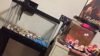 Fish tank upgradeExotic Smoke THC Grow Channl SUBSCRIBE (NUGGTE WORLD)