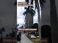 lindo na capital alagoana #videoviral #maceio #alagoas #praia #nordeste
