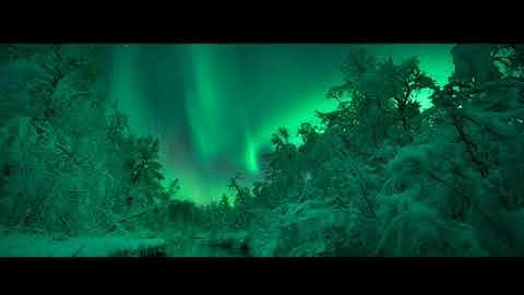 أجمل 5 أصوات في قراءة القرآن الكريمأصوات تخشع لها القلوب