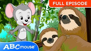 Explore the Monteverde Cloud Forest | ABCmouse FULL EPISODE | Journey Through the Misty Forest