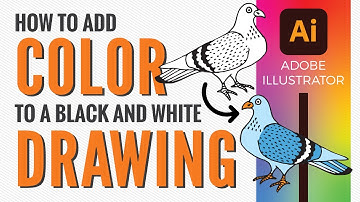 How to color a black and white drawing in Adobe Illustrator