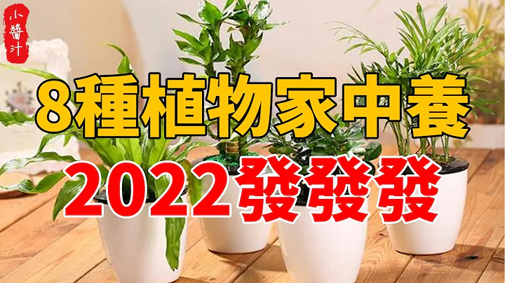 这8种花最旺家，只需养一盆，2022发发发！你家养对了没#生活小酱汁 - 天天要闻