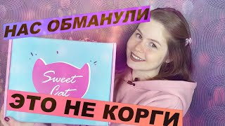 ОБМАН В БОКСЕ С КАНЦЕЛЯРИЕЙ ПРО КОРГИ ОТ SWEET CAT SHOP