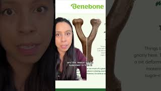 Why I STOPPED buying Benebone ⚠️