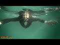 Black suit whatsapp status _ whatsapp status 30 seconds _ Black Suit 2018 _ By Shani79 Whatsapp Status Video Download Free