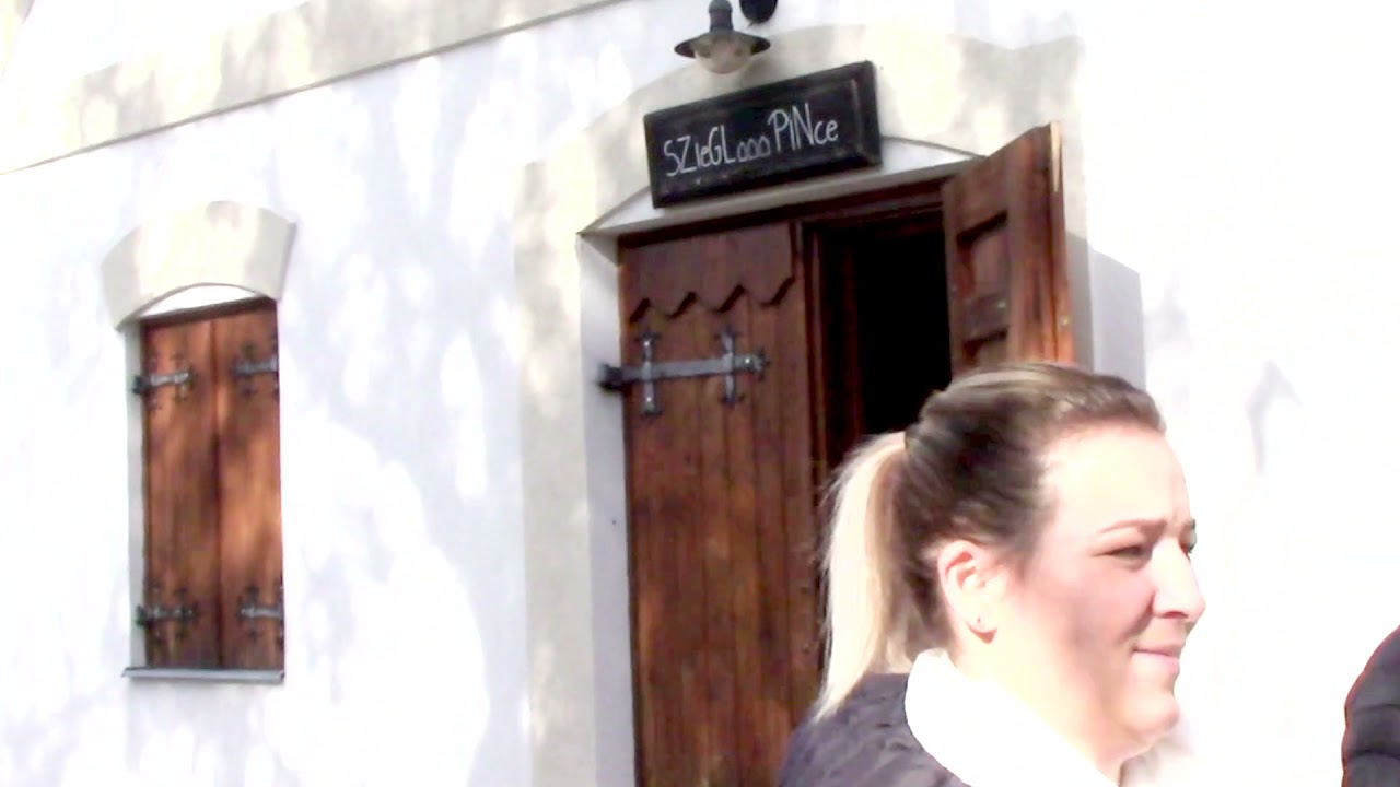 Hajós,Pincefalu 2021